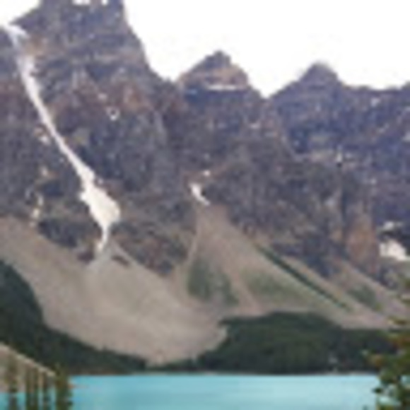 Meet your Posher, Trisha - Picture 2 of 2